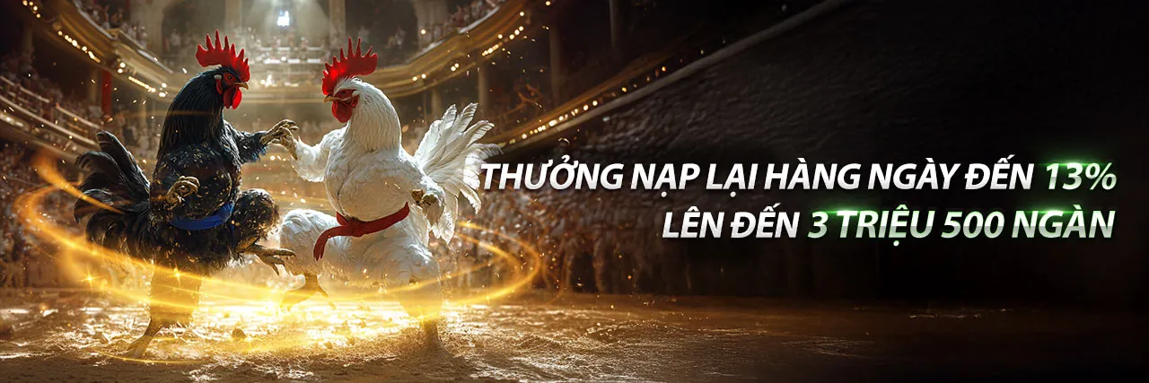 Đá gà C3 trực tiếp ngày 15 tháng 10